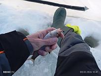 Нажмите на изображение для увеличения.  Название:	IMG_20260208_104138.jpg Просмотров:	0 Размер:	342.9 Кб ID:	4548576