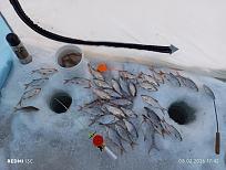 Нажмите на изображение для увеличения.  Название:	IMG_20260208_174225.jpg Просмотров:	0 Размер:	490.9 Кб ID:	4548579