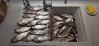 Нажмите на изображение для увеличения.

Название:	Мой улов.jpg
Просмотров:	57
Размер:	562.5 Кб
ID:	4548682