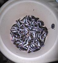 Нажмите на изображение для увеличения.

Название:	IMG_20260210_000009_edit_282577261513505.jpg
Просмотров:	156
Размер:	479.7 Кб
ID:	4553662