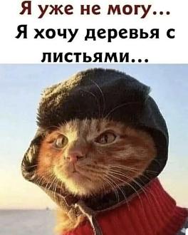 Нажмите на изображение для увеличения.

Название:	IMG-c71c4fa65901b66c606e8025216953e4-V.jpg
Просмотров:	135
Размер:	139.0 Кб
ID:	4553672