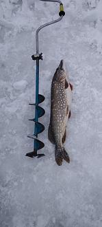 Нажмите на изображение для увеличения.

Название:	IMG_20260214_142027.jpg
Просмотров:	46
Размер:	181.0 Кб
ID:	4553920