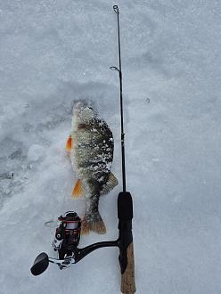 Нажмите на изображение для увеличения.

Название:	20260215_144031.jpg
Просмотров:	180
Размер:	330.2 Кб
ID:	4553963