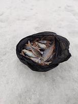 Нажмите на изображение для увеличения.

Название:	изображение_viber_2026-02-15_18-52-21-031.jpg
Просмотров:	35
Размер:	259.9 Кб
ID:	4553971