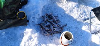 Нажмите на изображение для увеличения.

Название:	IMG_20260210_154931.jpg
Просмотров:	183
Размер:	439.8 Кб
ID:	4553982