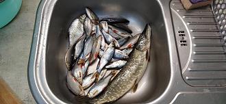 Нажмите на изображение для увеличения.

Название:	IMG_20260208_092006.jpg
Просмотров:	117
Размер:	487.9 Кб
ID:	4553983