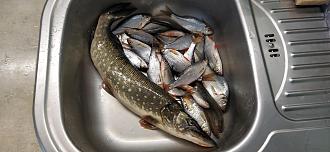 Нажмите на изображение для увеличения.

Название:	IMG_20260215_093128.jpg
Просмотров:	117
Размер:	465.0 Кб
ID:	4553984