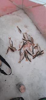 Нажмите на изображение для увеличения.

Название:	15.02.2026.jpg
Просмотров:	26
Размер:	175.9 Кб
ID:	4554002