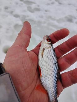 Нажмите на изображение для увеличения.

Название:	IMG_20260213_162223.jpg
Просмотров:	146
Размер:	218.3 Кб
ID:	4554077