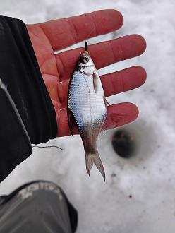 Нажмите на изображение для увеличения.

Название:	IMG_20260214_095037.jpg
Просмотров:	98
Размер:	225.8 Кб
ID:	4554079