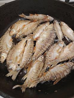 Нажмите на изображение для увеличения.

Название:	IMG_20260214_201524.jpg
Просмотров:	99
Размер:	464.7 Кб
ID:	4554080