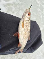 Нажмите на изображение для увеличения.

Название:	20260214_125104.jpg
Просмотров:	233
Размер:	325.2 Кб
ID:	4554095