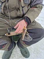 Нажмите на изображение для увеличения.

Название:	20260214_122538(0).jpg
Просмотров:	229
Размер:	230.7 Кб
ID:	4554096