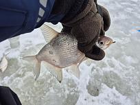 Нажмите на изображение для увеличения.

Название:	IMG_20260214_202119_192.jpg
Просмотров:	229
Размер:	416.0 Кб
ID:	4554098