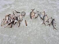 Нажмите на изображение для увеличения.

Название:	20260214_155341.jpg
Просмотров:	275
Размер:	546.6 Кб
ID:	4554099