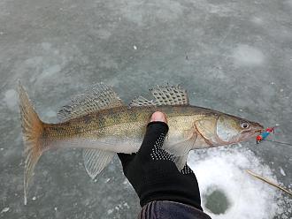 Нажмите на изображение для увеличения.

Название:	IMG20260217122850.jpg
Просмотров:	104
Размер:	451.6 Кб
ID:	4554133