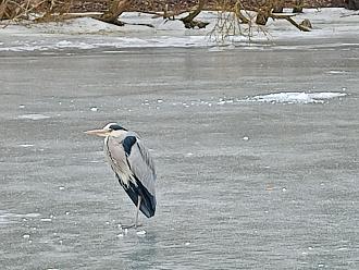 Нажмите на изображение для увеличения.

Название:	IMG20260217114918.jpg
Просмотров:	81
Размер:	451.0 Кб
ID:	4554137