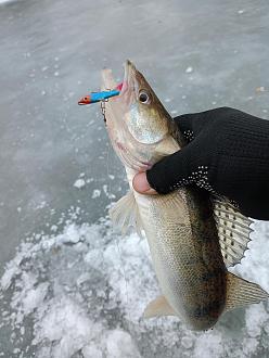 Нажмите на изображение для увеличения.

Название:	IMG20260217112140.jpg
Просмотров:	80
Размер:	346.6 Кб
ID:	4554138