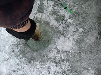 Нажмите на изображение для увеличения.

Название:	IMG20260217112219.jpg
Просмотров:	79
Размер:	534.7 Кб
ID:	4554139