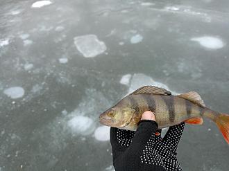 Нажмите на изображение для увеличения.

Название:	IMG20260217104154.jpg
Просмотров:	77
Размер:	372.1 Кб
ID:	4554140