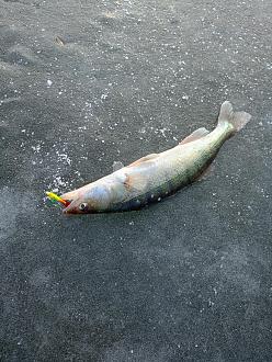 Нажмите на изображение для увеличения.

Название:	IMG20260215091013.jpg
Просмотров:	82
Размер:	701.4 Кб
ID:	4554142