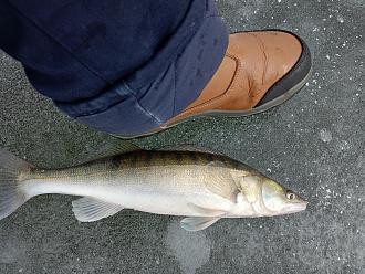 Нажмите на изображение для увеличения.

Название:	IMG20260215114844.jpg
Просмотров:	78
Размер:	658.4 Кб
ID:	4554143