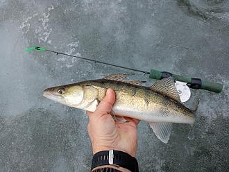 Нажмите на изображение для увеличения.

Название:	IMG20260214114803.jpg
Просмотров:	79
Размер:	543.0 Кб
ID:	4554144