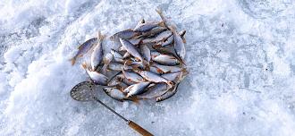 Нажмите на изображение для увеличения.

Название:	IMG_20260217_151229.jpg
Просмотров:	384
Размер:	480.8 Кб
ID:	4554161