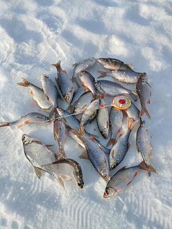 Нажмите на изображение для увеличения.

Название:	IMG_20260218_164557.jpg
Просмотров:	92
Размер:	494.8 Кб
ID:	4554218