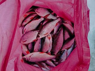 Нажмите на изображение для увеличения.  Название:	IMG_20260220_133003_317.jpg Просмотров:	0 Размер:	220.1 Кб ID:	4554285