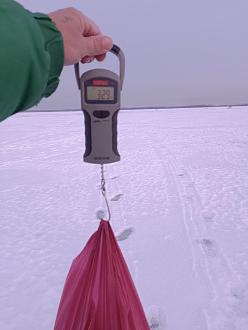 Нажмите на изображение для увеличения.

Название:	image_598737.jpg
Просмотров:	654
Размер:	117.1 Кб
ID:	4554286