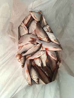 Нажмите на изображение для увеличения.

Название:	IMG_20260220_184123_643.jpg
Просмотров:	543
Размер:	316.8 Кб
ID:	4554305