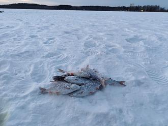 Нажмите на изображение для увеличения.  Название:	IMG_20260221_185225.jpg Просмотров:	0 Размер:	451.4 Кб ID:	4554352