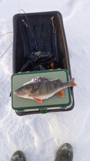 Нажмите на изображение для увеличения.

Название:	изображение_2026-02-21_215124667.png
Просмотров:	788
Размер:	288.1 Кб
ID:	4554354