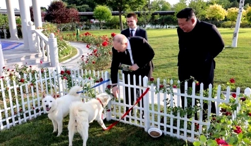 Нажмите на изображение для увеличения.

Название:	Скриншот 22-02-2026 081620.jpg
Просмотров:	26
Размер:	124.4 Кб
ID:	4554384