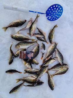 Нажмите на изображение для увеличения.  Название:	IMG_20260222_160927.jpg Просмотров:	32 Размер:	418.7 Кб ID:	4554411