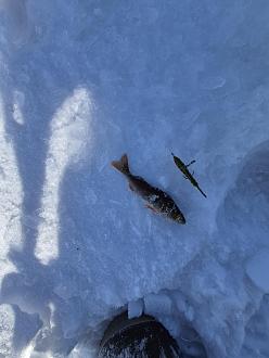 Нажмите на изображение для увеличения.

Название:	20260221_133143.jpg
Просмотров:	153
Размер:	326.8 Кб
ID:	4554426