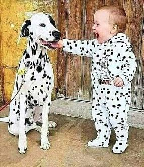 Нажмите на изображение для увеличения.

Название:	623691716_1719876566084809_6390417959736427973_n.jpg
Просмотров:	71
Размер:	114.2 Кб
ID:	4554492