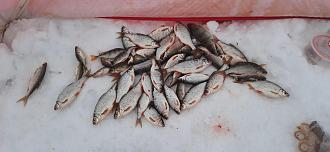 Нажмите на изображение для увеличения.

Название:	20260222_155139.jpg
Просмотров:	27
Размер:	500.8 Кб
ID:	4554535