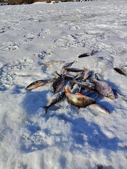 Нажмите на изображение для увеличения.  Название:	IMG_20260221_154523.jpg Просмотров:	0 Размер:	421.0 Кб ID:	4554562