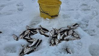 Нажмите на изображение для увеличения.

Название:	20260224_173253.jpg
Просмотров:	0
Размер:	475.4 Кб
ID:	4554587