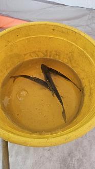 Нажмите на изображение для увеличения.

Название:	20260224_113853.jpg
Просмотров:	0
Размер:	225.9 Кб
ID:	4554588