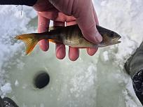 Нажмите на изображение для увеличения.  Название:	20260221_141747.jpg Просмотров:	0 Размер:	360.0 Кб ID:	4554700