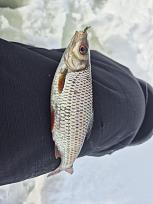 Нажмите на изображение для увеличения.  Название:	20260221_134723.jpg Просмотров:	0 Размер:	290.7 Кб ID:	4554709