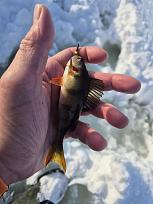 Нажмите на изображение для увеличения.  Название:	20260221_163146.jpg Просмотров:	0 Размер:	228.4 Кб ID:	4554699