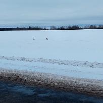 Нажмите на изображение для увеличения.  Название:	IMG_20260220_195831_366.jpg Просмотров:	0 Размер:	486.0 Кб ID:	4554708