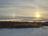 Нажмите на изображение для увеличения.  Название:	20260221_172850.jpg Просмотров:	0 Размер:	413.4 Кб ID:	4554706