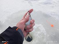 Нажмите на изображение для увеличения.  Название:	IMG_20260215_144033.jpg Просмотров:	0 Размер:	396.8 Кб ID:	4554714