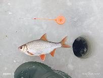 Нажмите на изображение для увеличения.  Название:	IMG_20260215_145716.jpg Просмотров:	0 Размер:	499.4 Кб ID:	4554715