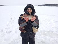 Нажмите на изображение для увеличения.  Название:	IMG_20260215_145805.jpg Просмотров:	0 Размер:	377.8 Кб ID:	4554717